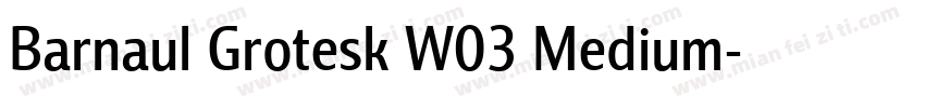 Barnaul Grotesk W03 Medium字体转换